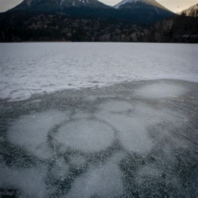 湯河水庫在什麼地方，探尋自然風光與人文風情的交織之地